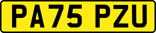 PA75PZU