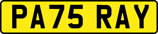 PA75RAY