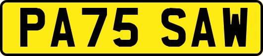 PA75SAW