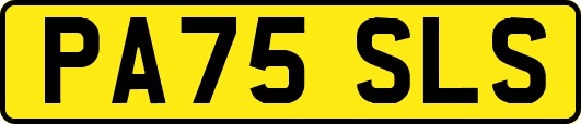 PA75SLS