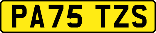 PA75TZS