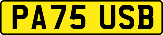 PA75USB