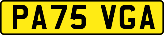 PA75VGA