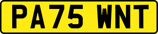 PA75WNT