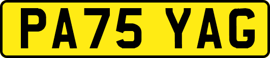 PA75YAG