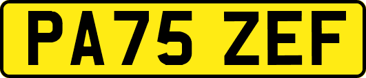 PA75ZEF