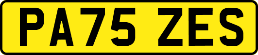 PA75ZES