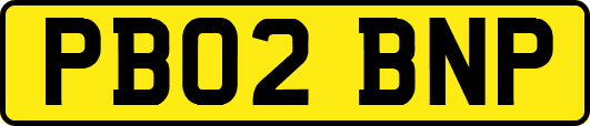 PB02BNP