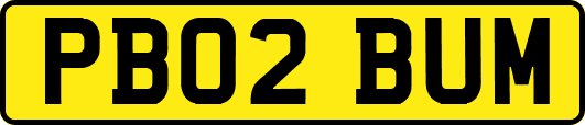 PB02BUM