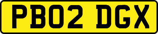 PB02DGX
