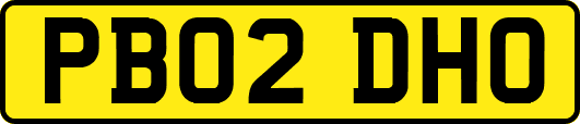PB02DHO