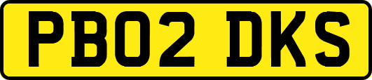 PB02DKS