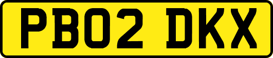 PB02DKX
