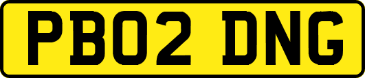 PB02DNG