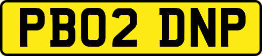 PB02DNP
