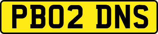 PB02DNS