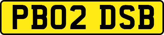 PB02DSB