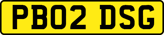 PB02DSG