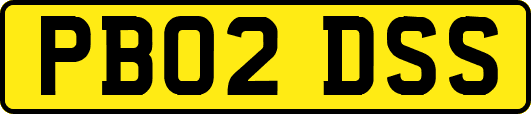 PB02DSS