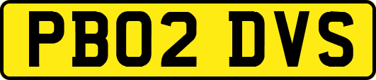 PB02DVS