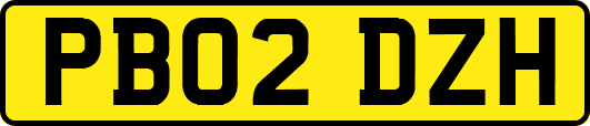 PB02DZH