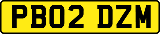 PB02DZM