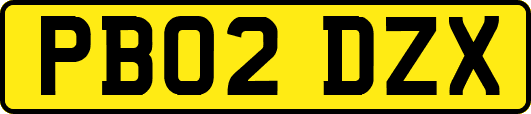 PB02DZX