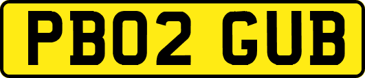 PB02GUB