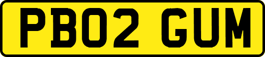 PB02GUM