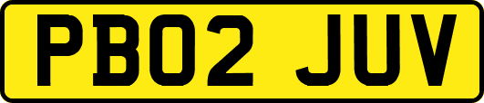 PB02JUV