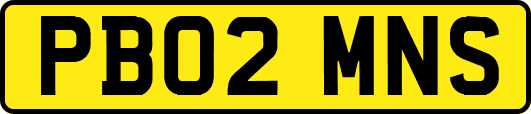 PB02MNS