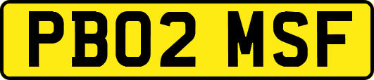 PB02MSF