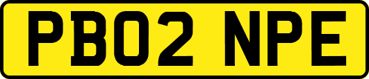 PB02NPE