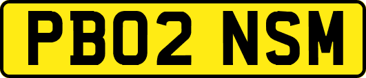 PB02NSM