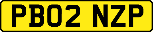 PB02NZP