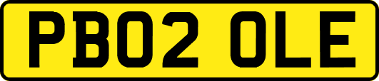 PB02OLE