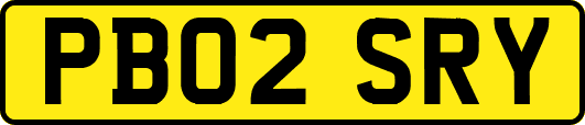 PB02SRY