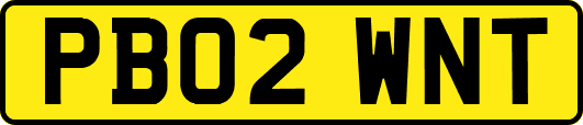 PB02WNT