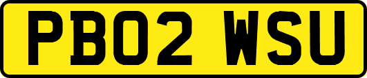 PB02WSU