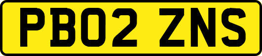 PB02ZNS