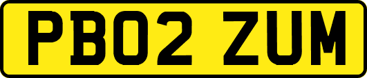 PB02ZUM