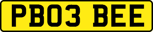 PB03BEE