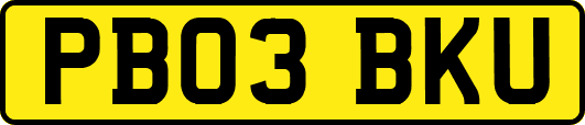 PB03BKU
