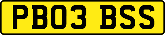 PB03BSS