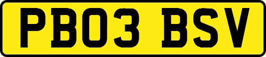 PB03BSV