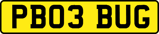 PB03BUG