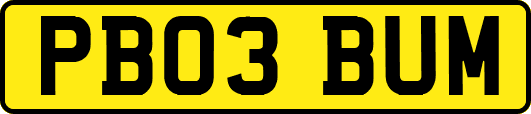 PB03BUM