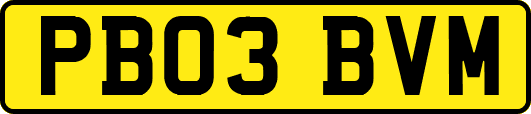 PB03BVM