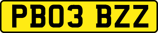 PB03BZZ