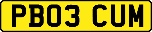 PB03CUM